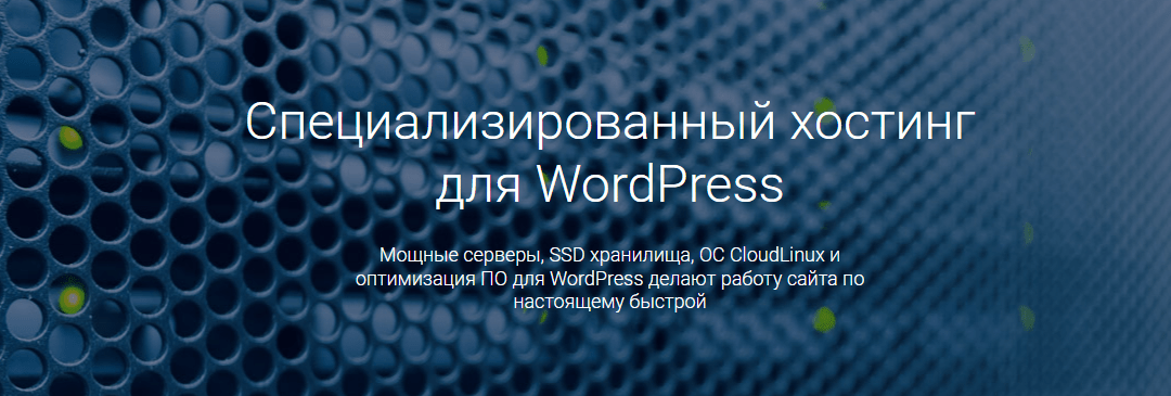 Специализированный хостинг для WordPress сайтов Туркменистана
